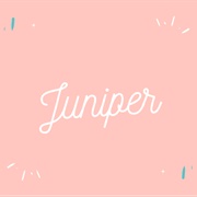 Juniper