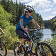 Waikato River Trails