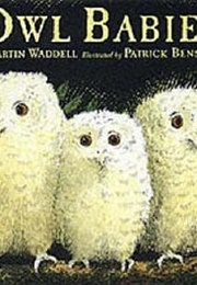 Owl Babies (Waddell, Martin)