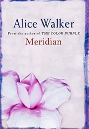 Meridian (Alice Walker)