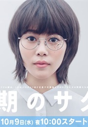 Doki No Sakura (2019)