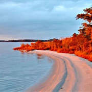 Delaware Bay, Delaware