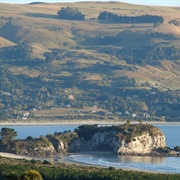 Goat Island Otago