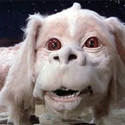 Falkor (The Neverending Story)