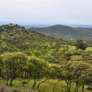 Las Dehesas De Sierra Morena Biosphere Reserve, Spain