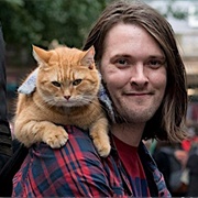 Bob (A Street Cat Named Bob)