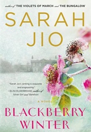 Blackberry Winter (Sarah Jio)