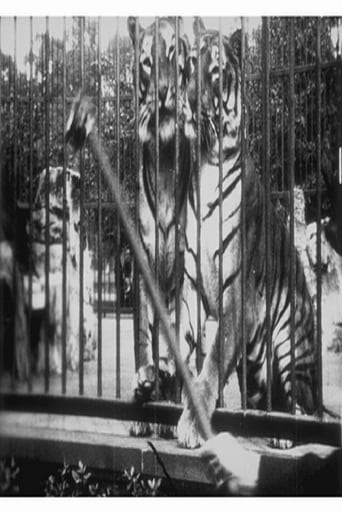 Tigers at the Zoo (1896)
