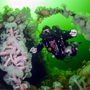 Dive a Sunken Battleship (BC)