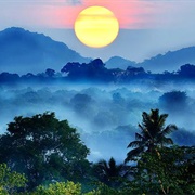 Sinharaja National Park, Sri Lanka