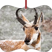 Antelope Ornament