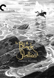 The Black Stallion (1979)