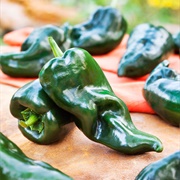 Poblano Pepper