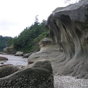 Chuckanut Bay Shorelands, Bellingham