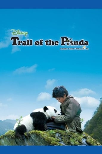 熊猫回家路 (2009)