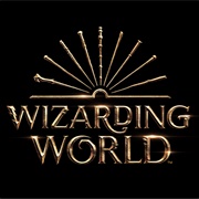 Wizarding World