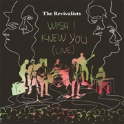 Wish I Knew You by the Revivalists
