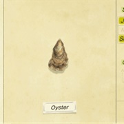 Oyster