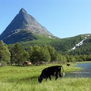 Innerdalen