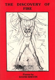 The Discovery of Fire (David Shevin)