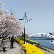 Sumida River