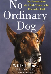 No Ordinary Dog (WILL CHESNEY)