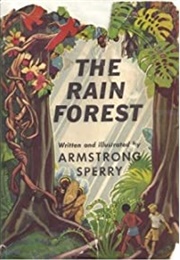 The Rain Forest (Armstrong Sperry)