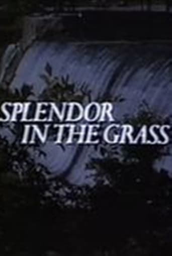 Splendor in the Grass (1981)
