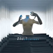 In My Life - Wallis Bird