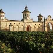 Chateau Cos D'estournel Winery