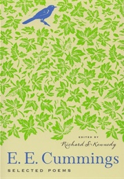 Selected Poems (E.E. Cummings)