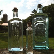 Dr. Kilmer's Swamp Root