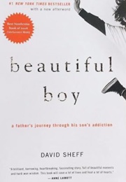 Beautiful Boy (David Sheff)