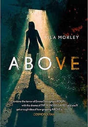 Above (Isla Morley)