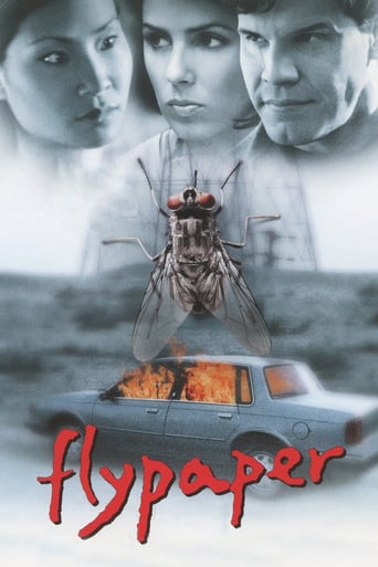 Flypaper (1998)