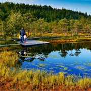 Soomaa National Park