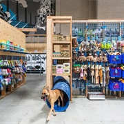 Go to the Pet Store With Your Pet