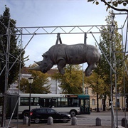 Hanging Rhino, Potsdam, Germany