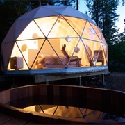 Dream in the Dream Domes (NB)