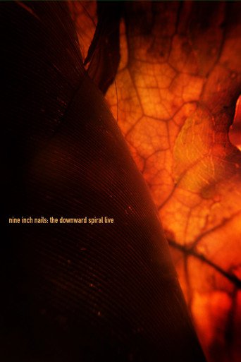Nine Inch Nails - The Downward Spiral Live (2009)