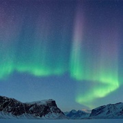 See the Northern Lights