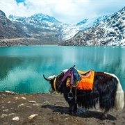 Tsomgo/Changu Lake, Sikkim