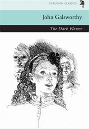 The Dark Flower (John Galsworthy)