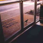 Tides II Motel-Houston, TX