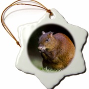 Agouti Ornament