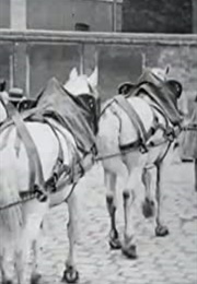Attelage D'un Camion (1897)