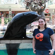 Play in the Mall (AB) West Edmonton Mall