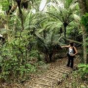 Stillwater Beach Walk