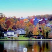 Cold Spring Harbor, Ny
