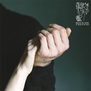 Birds in Row - We Already Lost the World